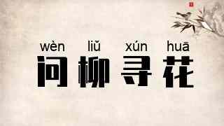 问柳寻花