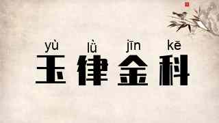 玉律金科