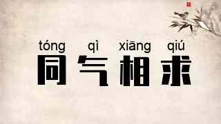 同气相求
