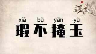 瑕不掩玉