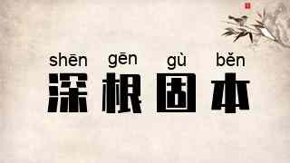 深根固本