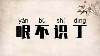 眼不识丁