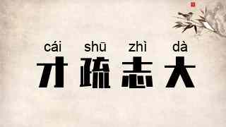 才疏志大