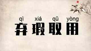 弃瑕取用