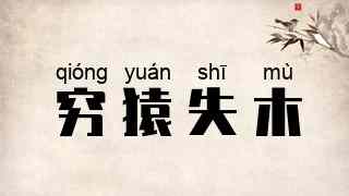 穷猿失木