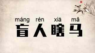 盲人瞎马