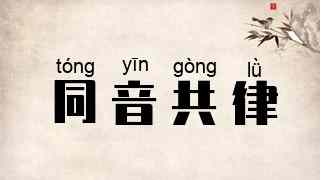 同音共律