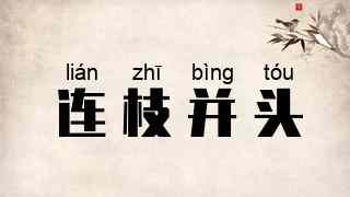 连枝并头