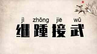 继踵接武