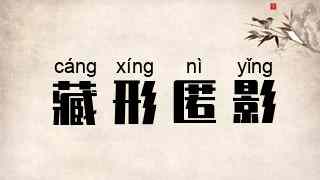藏形匿影