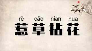 惹草拈花