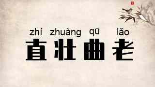 直壮曲老