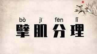擘肌分理