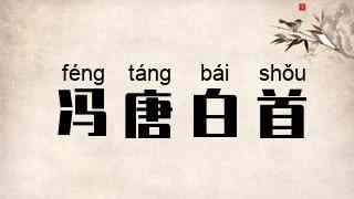冯唐白首