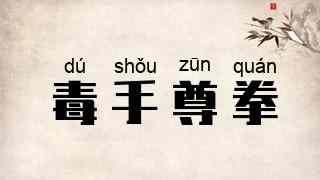 毒手尊拳