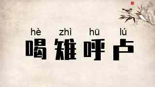 喝雉呼卢