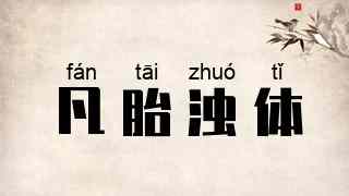 凡胎浊体