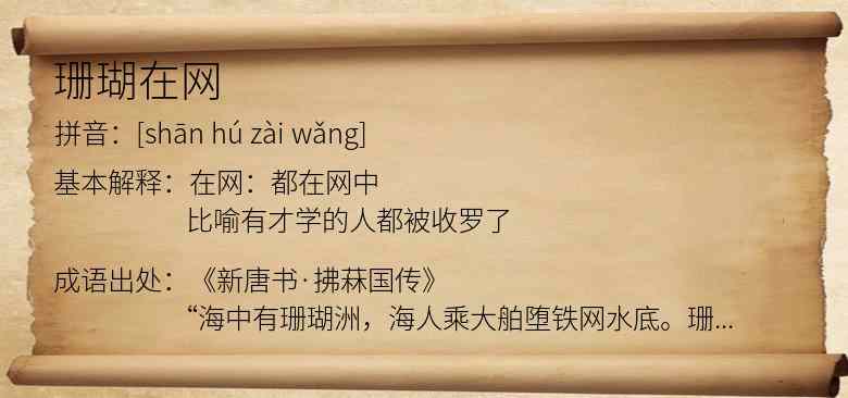 珊瑚在网