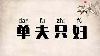 单夫只妇