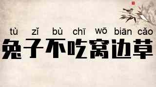 兔子不吃窝边草