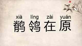 鹡鸰在原