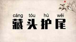 藏头护尾