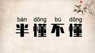 半懂不懂