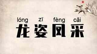 龙姿凤采