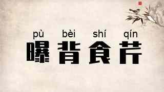 曝背食芹