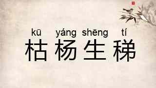 枯杨生稊