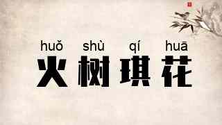 火树琪花