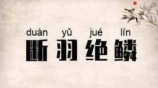 断羽绝鳞