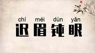 迟眉钝眼