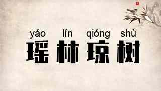 瑶林琼树
