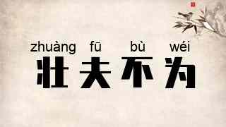 壮夫不为