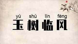 玉树临风