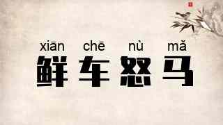 鲜车怒马