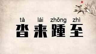 沓来踵至