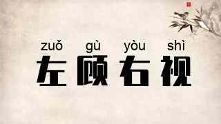 左顾右视