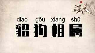 貂狗相属