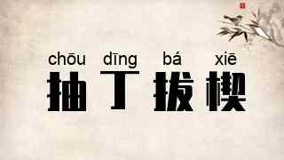 抽丁拔楔