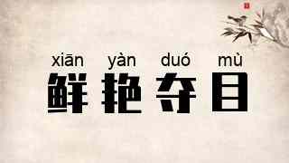 鲜艳夺目