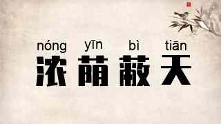 浓荫蔽天