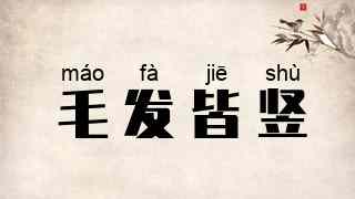 毛发皆竖
