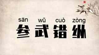 参武错纵