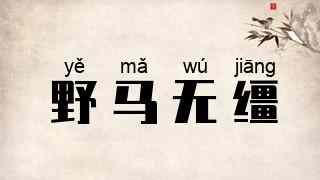 野马无缰