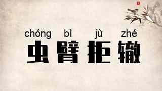 虫臂拒辙