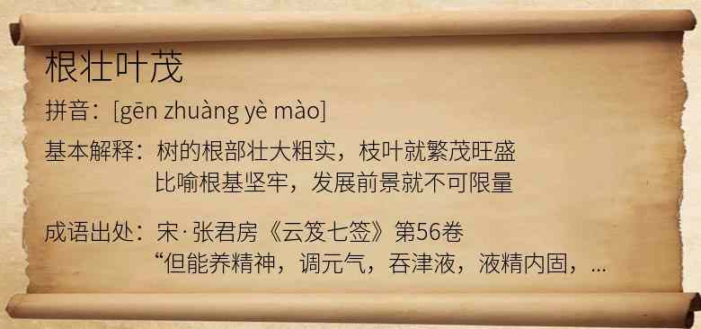 根壮叶茂