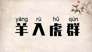 羊入虎群