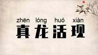 真龙活现